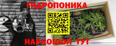 Альфа ПВП Комсомольск-на-Амуре