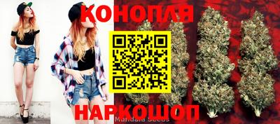 спайс Коммунар