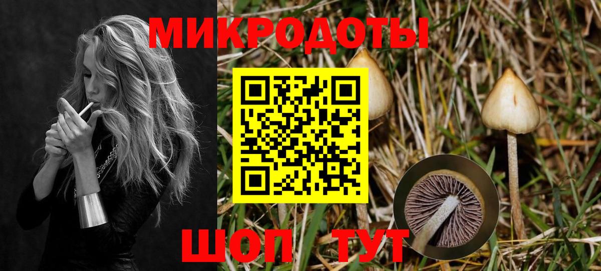 Галлюциногенные грибы Psilocybine cubensis Изобильный
