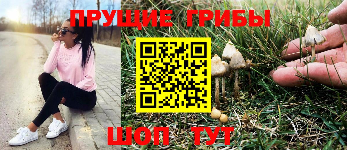 Галлюциногенные грибы мицелий  Галлюциногенные грибы Magic Shrooms  Вход с VPN  Изобильный 
