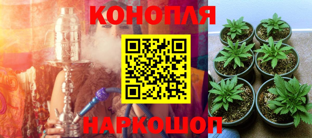 Бошки марихуана ГИДРОПОН  Конопля сатива  Вход с VPN  Изобильный 